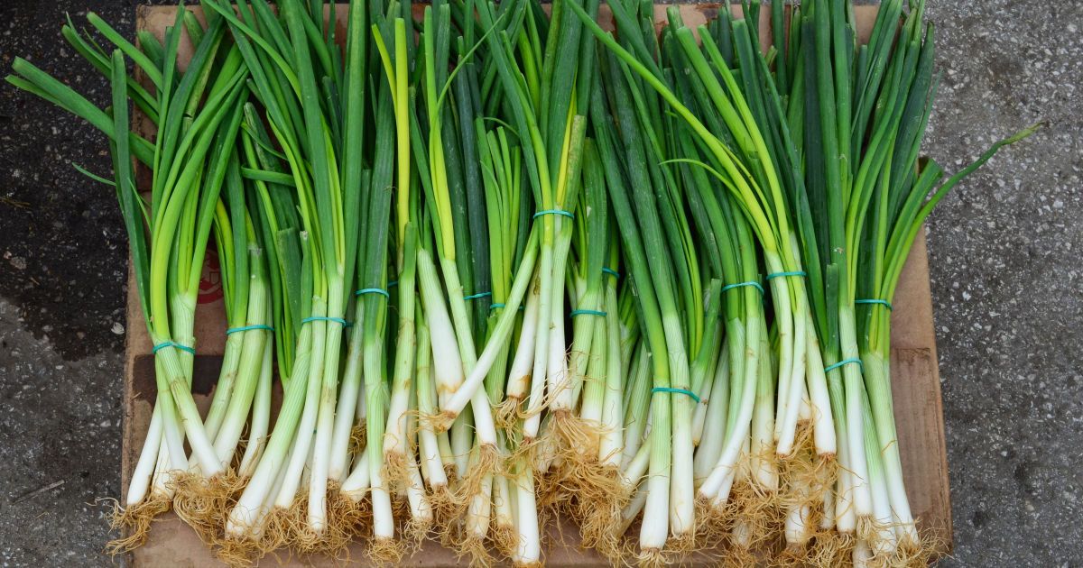 Весенняя выпечка со свежей зеленью