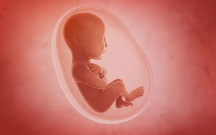 Ученые выяснили, плачут ли младенцы в утробе матери