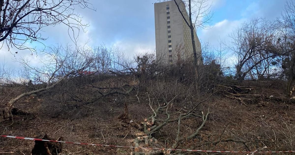 Фото: Кирилл Степанец