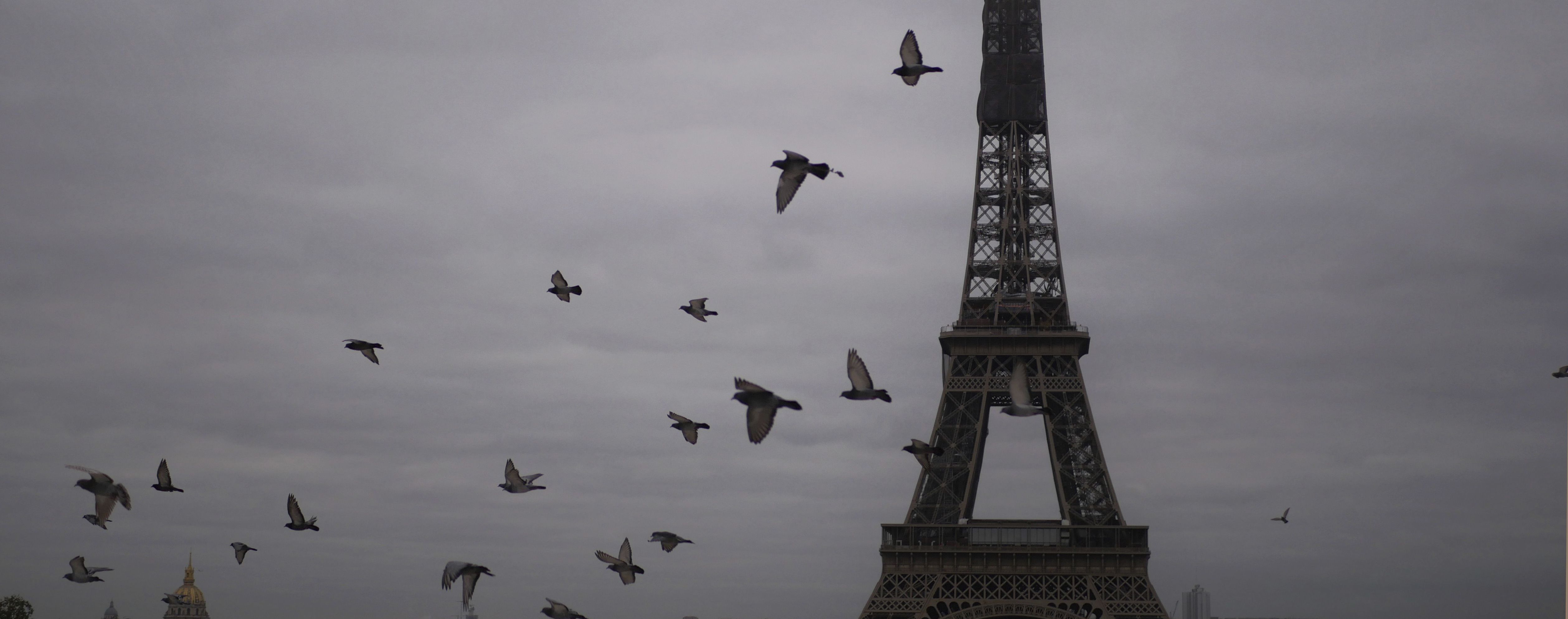 Эйфелеву башню впервые за последние 50 лет перекрасят в другой цвет: как изменится главная достопримечательность Парижа