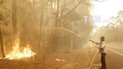 В Австралии возросло число погибших в результате масштабных лесных пожаров