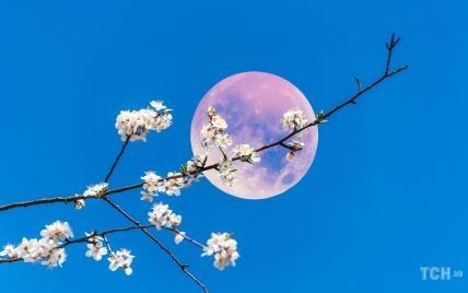 Лунный календарь на 13-14 мая: дни, когда лучше заняться наведением чистоты