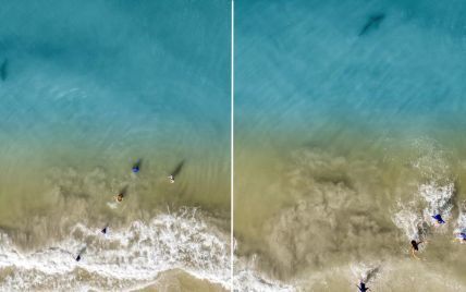 Американец спас детей от акулы благодаря съемке океана на дрон