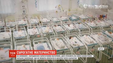 9 семей прилетели из Аргентины за детьми, рожденными украинскими суррогатными матерями