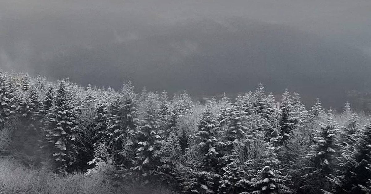 24 листопада — Укрaїнa