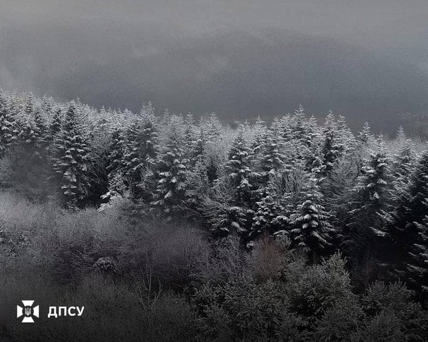 Пограничные участки Львовской области засыпало снегом (фото)