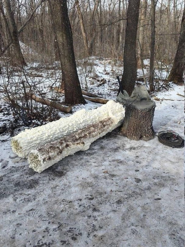 Ворог маскує антени РЕБ і зв’язку під штучні дерева / © Сергій Флеш