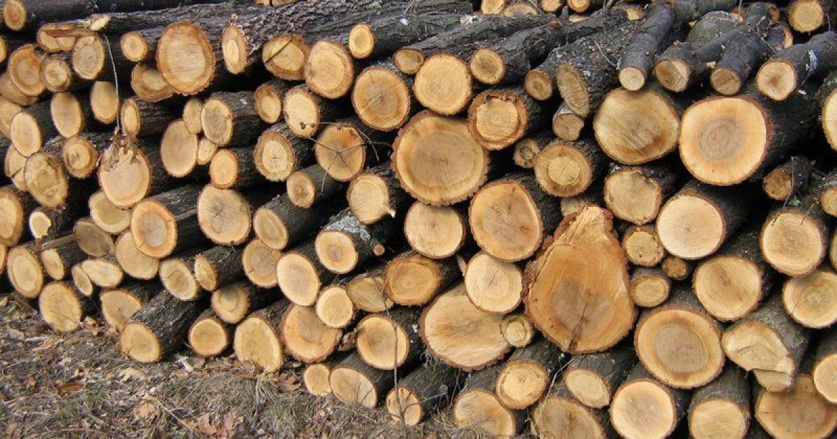 Субсидии на дрова.