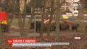 Стая диких кабанов забежала в детский сад в Познани