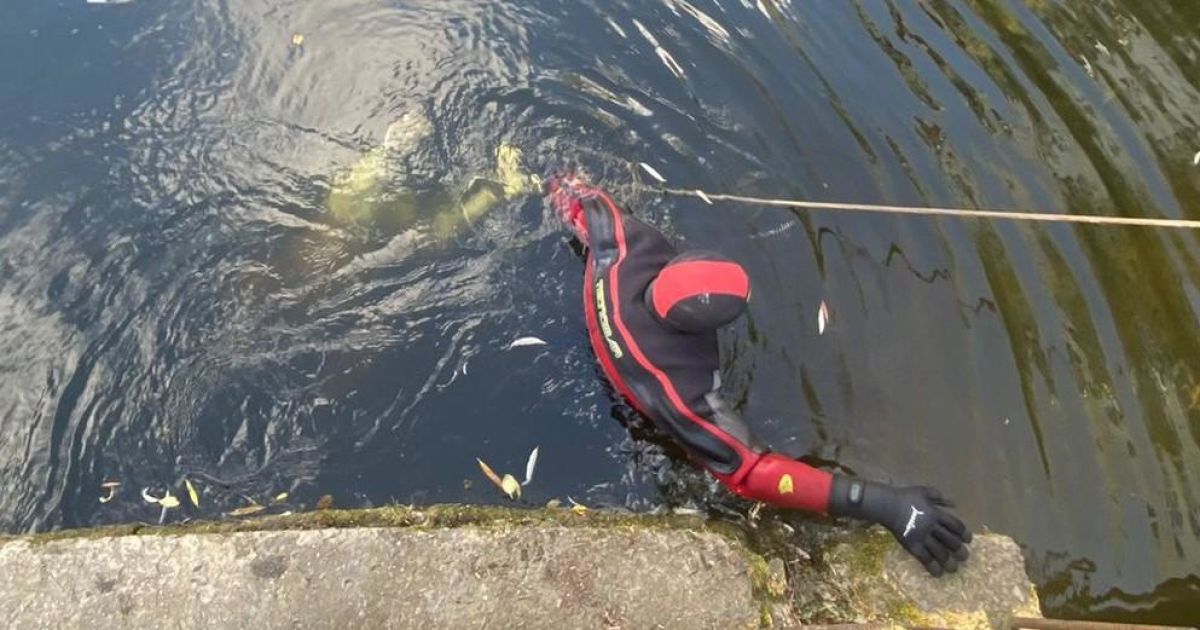 Тело нашли в водоеме: в полиции рассказали подробности смерти 19-летней студентки во Львове