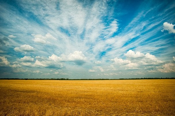 12 січня в Україні День українського політв’язня / © pexels.com