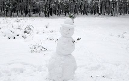Засніжить та похолодає до -3: прогноз погоди у Києві на середу, 1 грудня