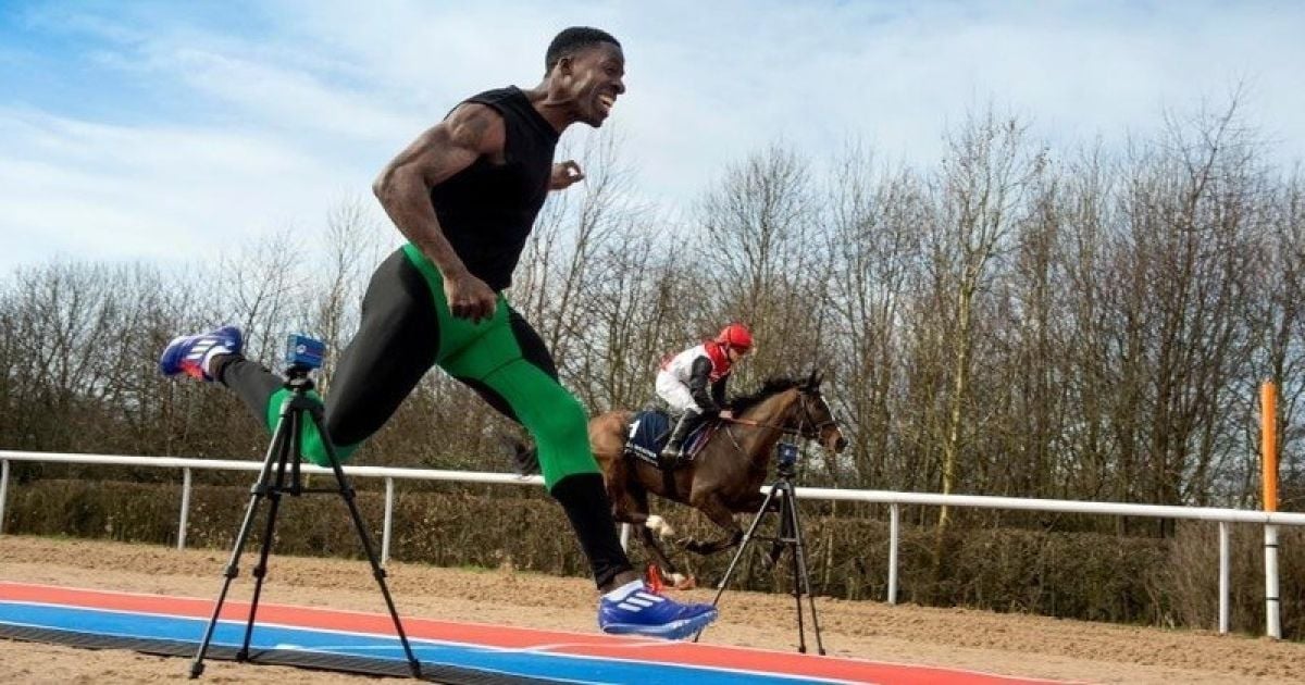 Британский легкоатлет опередил скаковую лошадь в забеге на 100 метров