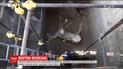 Археологи відкопали помпейського коня, якому майже дві тисячі років