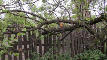 обстріл попасна_16 / © Тетяна Погукай