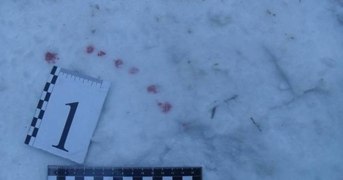 Полиция рассказала подробности об изнасиловании и ограблении женщины в Киеве