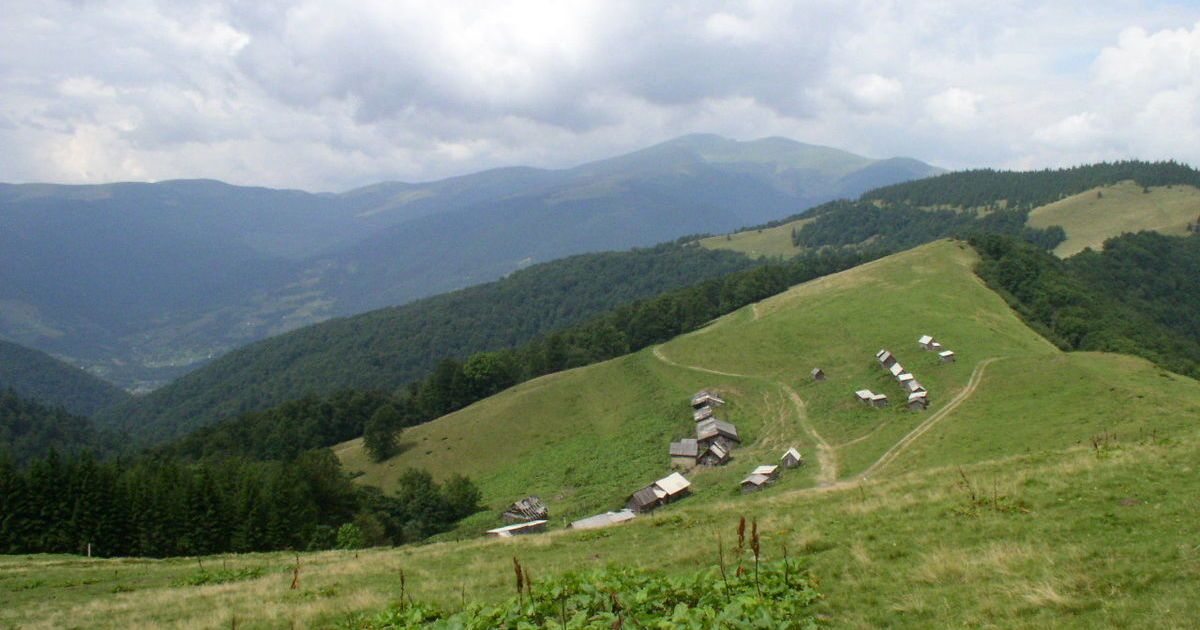Отруїлась грибами на полонині: у Карпатах рятувальники 3 кілометри несли на ношах туристку з Харкова