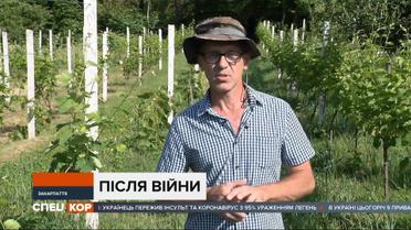 Український воїн із Закарпаття відкрив свої виноградні плантації
