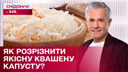 Идеальная квашеная капуста: как не прогадать с выбором? | Знаю – потребляю