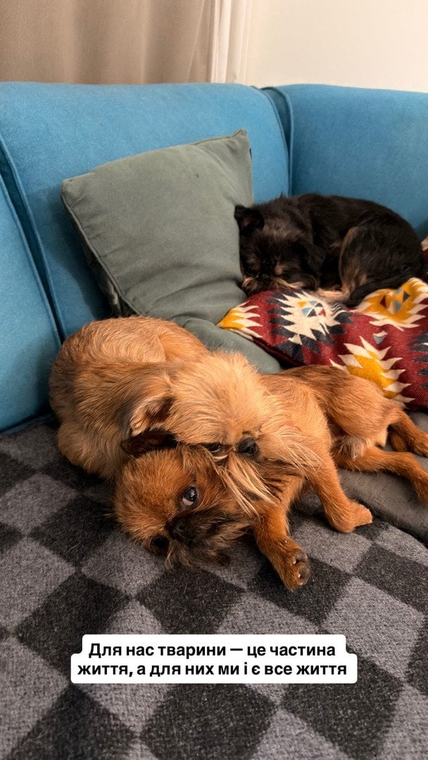 Instagram-история Эктора Хименеса-Браво / © instagram.com/hectorjimenezbravo