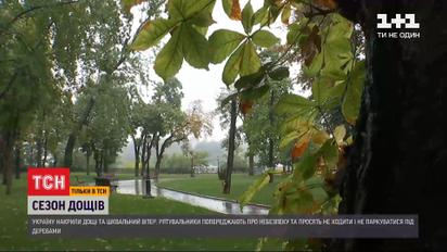 У зв'язку з негодою рятувальники радять уникнути паркування машин під деревами  