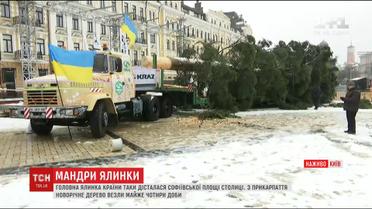 Обратный отсчет до начала праздников начинается. Елка наконец доехала в Киев