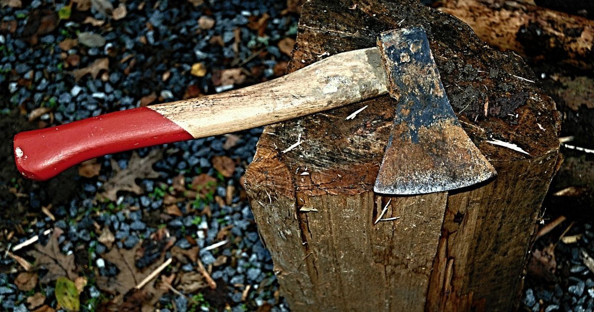 Не поделили наследство: под Киевом мужчина изрубил брата топором и хотел переложить вину на отца