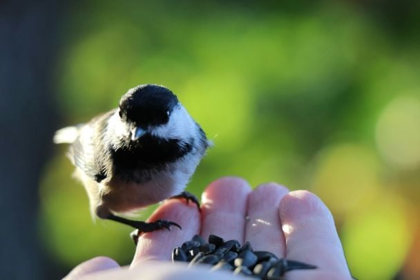 Народні прикмети 6 жовтня / © Unsplash