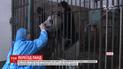 Две панды из Китая переедут в Данию, где поселятся на 15 лет
