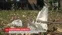 За 24 года Великобритания планирует отказаться от пластика и влажных салфеток
