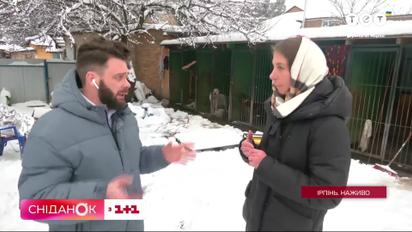 В Ирпене откроют первый в Украине "Пункт незламності" для четырехлапых