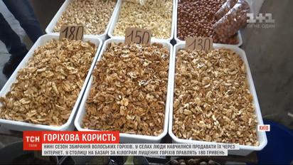 Смачні та корисні: яка ціна на волоські горіхи під час сезону збирання