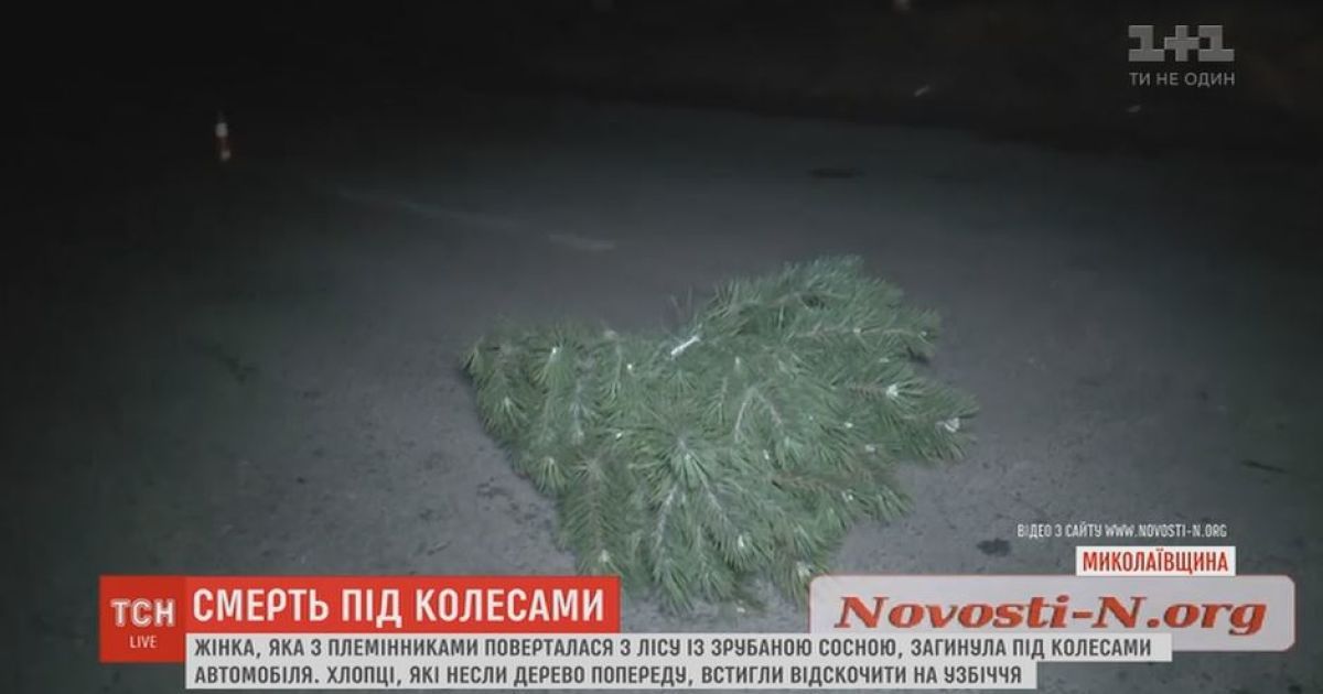 Под Николаевом машина насмерть сбила женщину, которая убегала с украденной елкой
