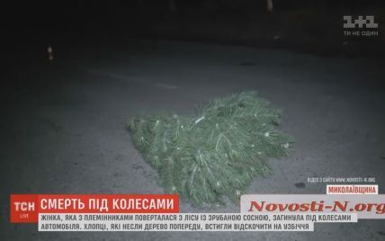 Под Николаевом машина насмерть сбила женщину, которая убегала с украденной елкой