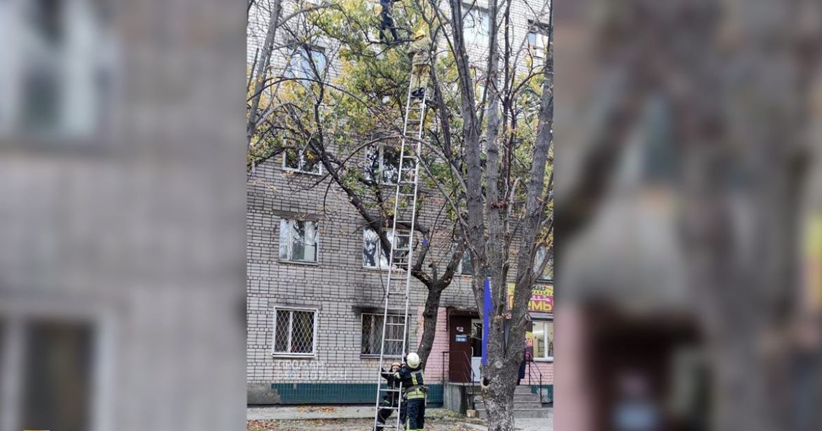У Нікополі рятувальники знімали з дерева вагітну жінку: вона не могла спуститись самостійно
