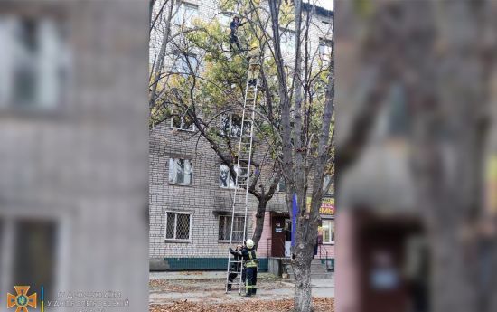У Нікополі рятувальники знімали з дерева вагітну жінку: вона не могла спуститись самостійно