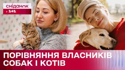 Чим котолюби відрізняються від собачників? Результати наукового дослідження