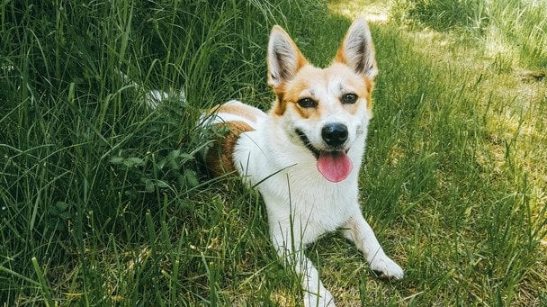 Фото: Pexels / © Pexels