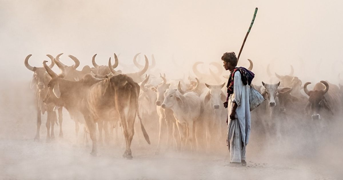 Лучшее фото года по версии Ukrainian Photo Awards 2015 / © Ukrainian Photo Awards