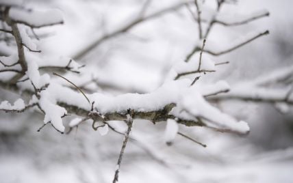 Січень дивує: якою буде погода в Україні найближчими днями