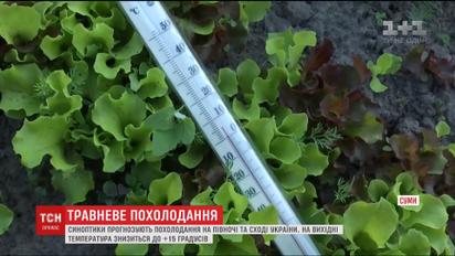 На смену аномальной для мая жаре приходит умеренное тепло с дождями и грозами