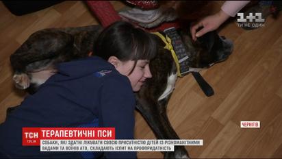 У Чернігові відбирали собак, які лікуватимуть людей