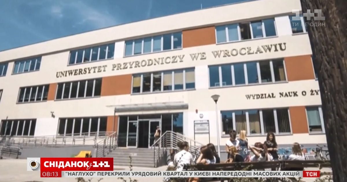 Что привлекает молодежь в польской системе образования