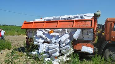 Сыр давили катком / © Znak.com