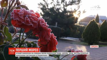 В Сумах горожане зафиксировали первые заморозки
