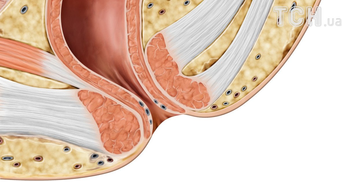 Орыс әңгімелері бар онлайн порно