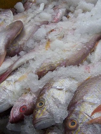 Як розморозити рибу