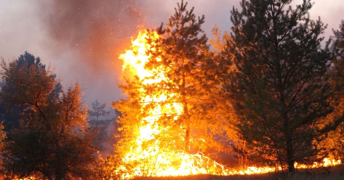 У пожежі в Луганській області загинув військовослужбовець ЗСУ