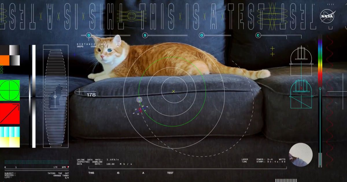 Кіт Тейтерс / X (Twitter)