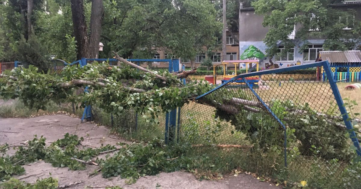 Негода в Одесі: дерево травмувало чоловіка